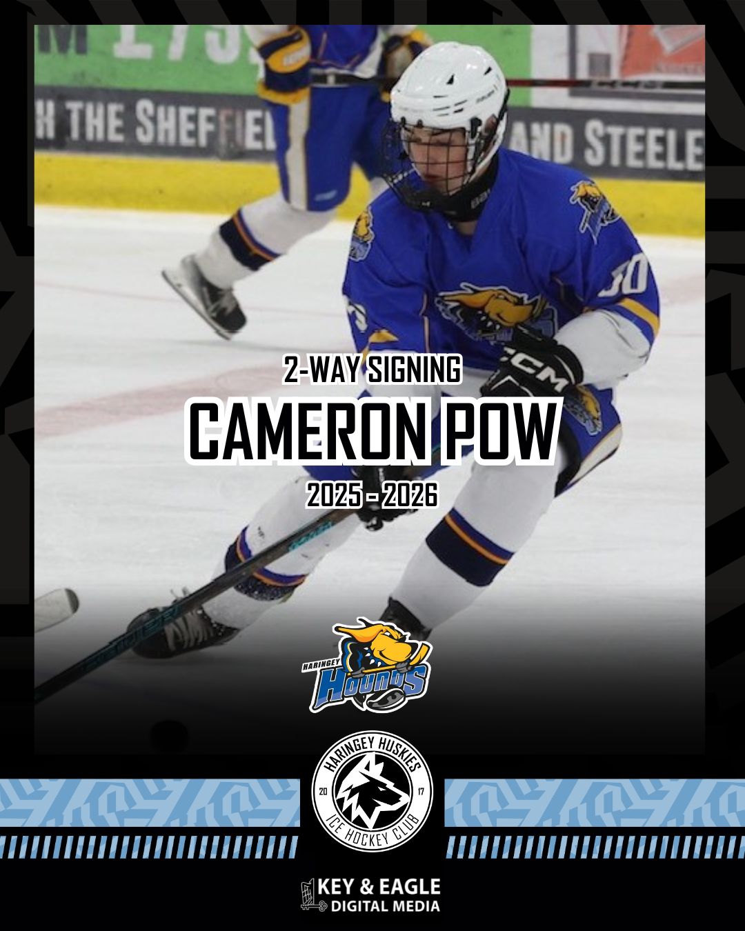 HUSKIES HARNESS HOT PROSPECT POW
